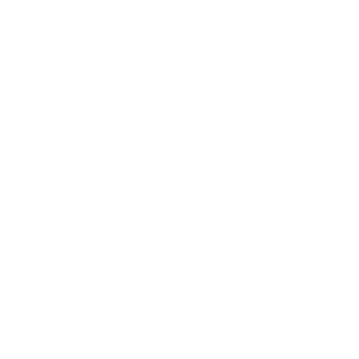 SIG SAUER CONVERSION KITS & ACCESSORIES