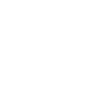 Taurus Rifle and Pistols
