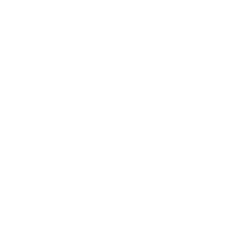 Taurus Rifle and Pistols