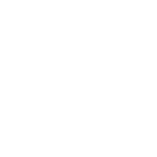 Palmetto State Armory Conversion Kits
