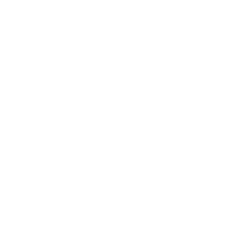 polyer 80