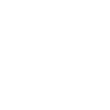 Ruger Conversion Kits