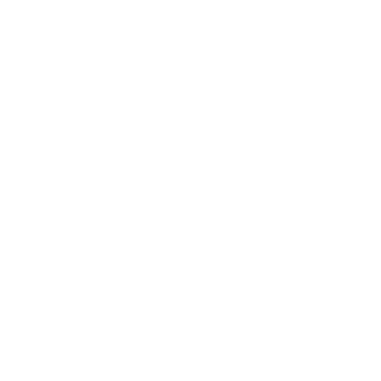 Ruger